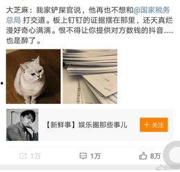 大芝麻爆料铲屎官视频大全,铲屎官视频大全趣味盘点  第1张