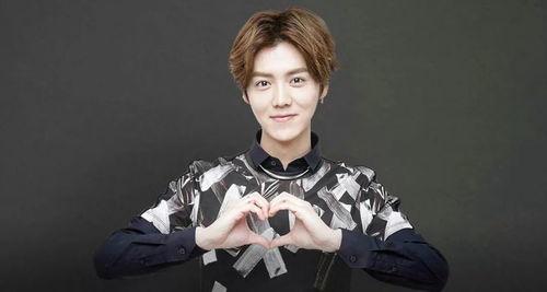 娱乐圈爆料鹿晗身份信息,鹿晗身份信息大曝光！  第1张