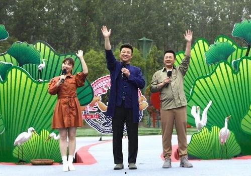 东谷最新爆料新闻视频下载,最新爆料新闻视频深度解析